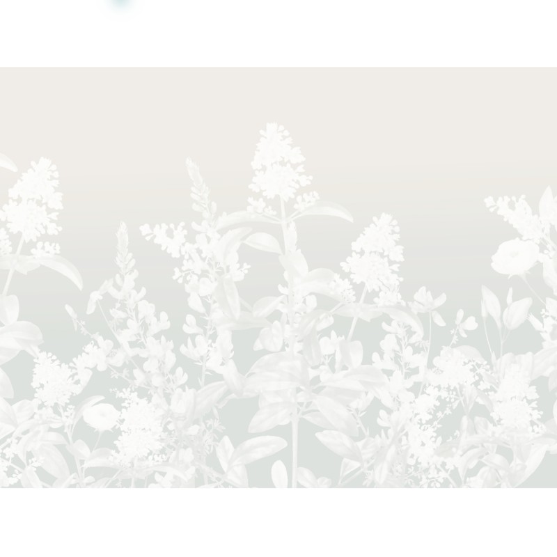 Honpo | Flower Field